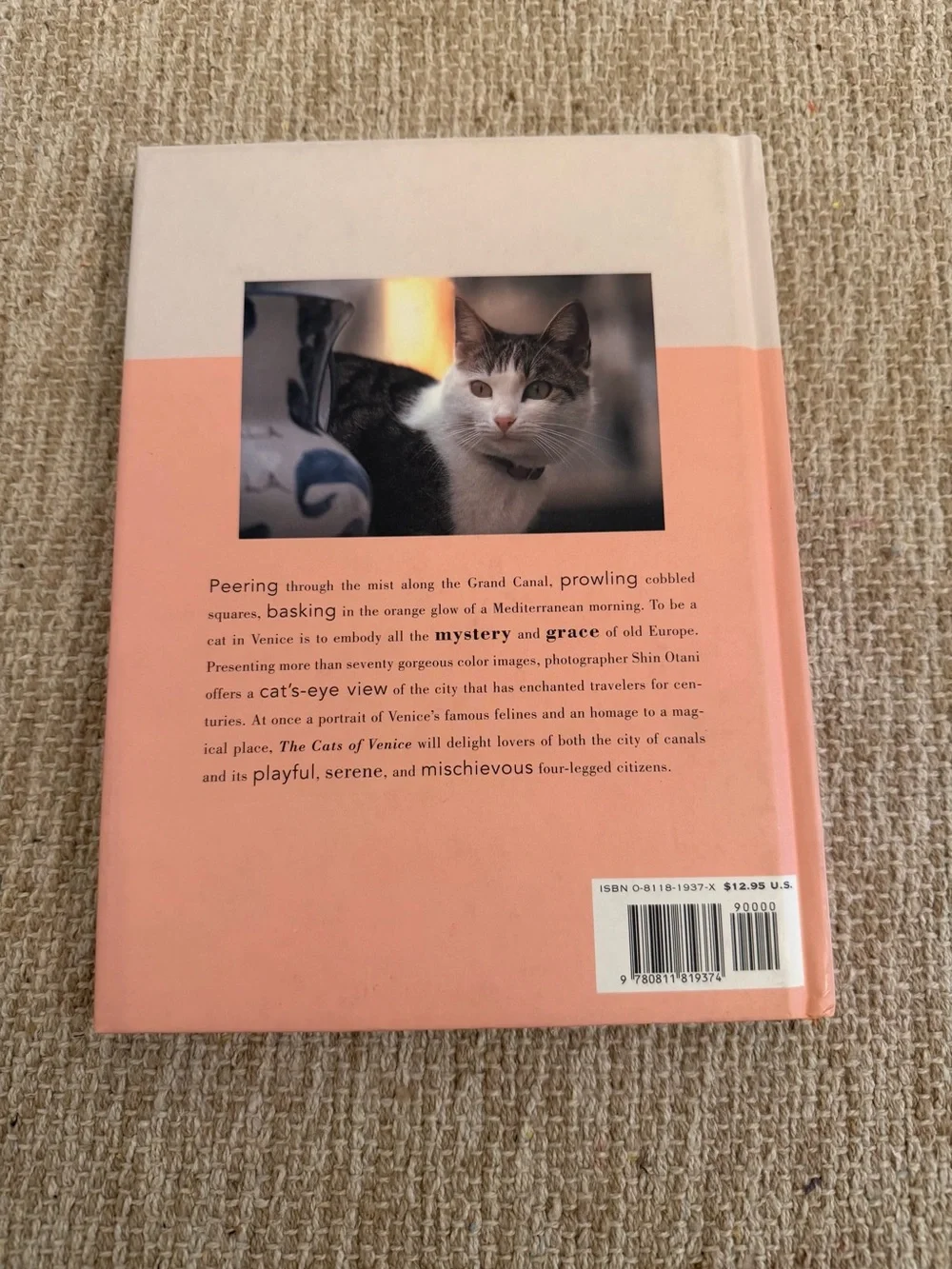 The Cats of Venice Book by Shin Otani